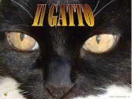 Leggi pdf - JAULLEIXE
