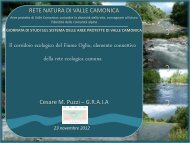 Cesare Puzzi-Il corridoio ecologico del fiume Oglio, elemento ...