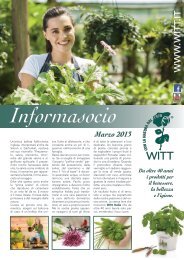 Panno Vetri - Accessori - Contenitori, Detersivi Ecologici - Witt Italia