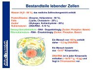 Bestandteile lebender Zellen