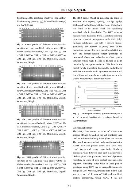 Performance of short duration rice mutants and assessment of genetic diversity using RAPD and ISSR markers