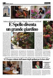 19/06/2011 Il Corriere dell'Umbria - Lo Speciale - Finestre