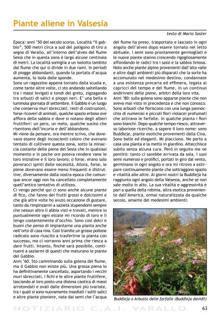 Notiziario anno 2010 - CAI Sezione Varallo Sesia