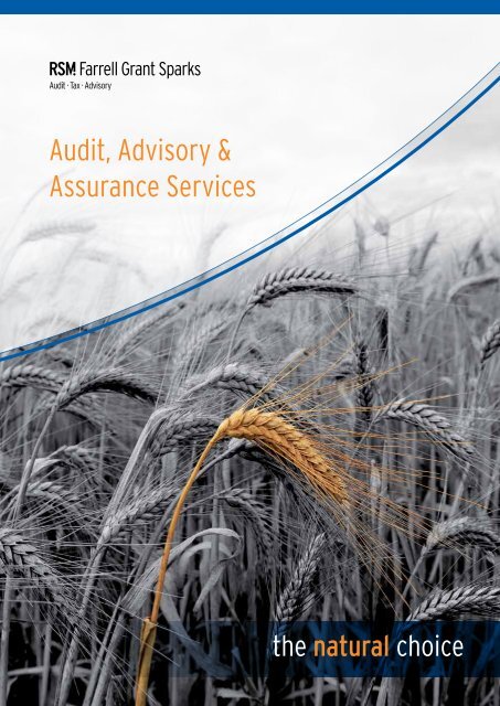 Audit, Advisory & Assurance Services - RSM Farrell Grant Sparks