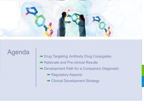 Mesothelin-ADC - Molecular Diagnostics for Cancer Drug ...