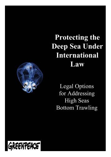 Protecting the Deep Sea Under International Law: Legal Options for ...