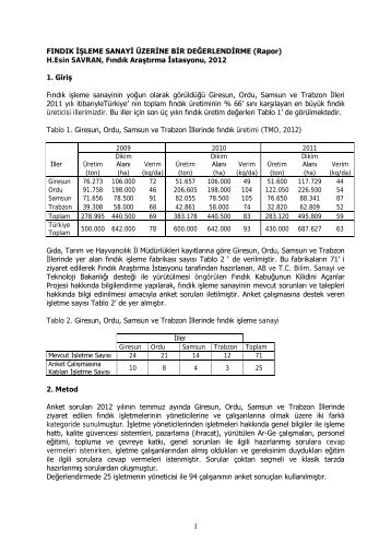 FÄ±ndÄ±k Ä°Åleme Sanayi Ãzerine DeÄerlendirme Raporu 2012