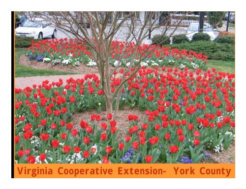 Virginia Cooperative Extension- York County - Gloucester County ...