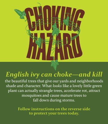English Ivy - A Choking Hazard