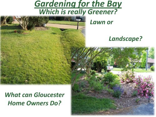 Rain Gardens - Gloucester County Virginia