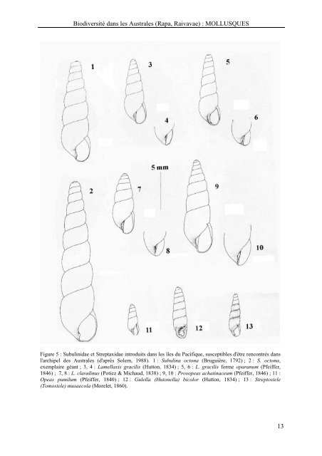 Rapport mission Raivavae-Rapa 2002