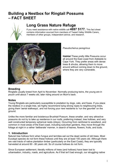 Building a nestbox for Ringtail Possums - Rocklily Wombats