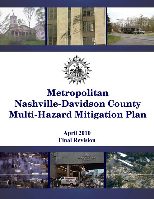 2010 Metro Mitigation Plan