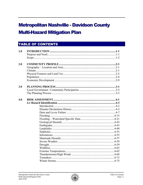 2010 Metro Mitigation Plan