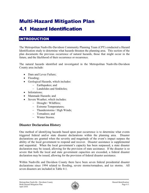 2010 Metro Mitigation Plan