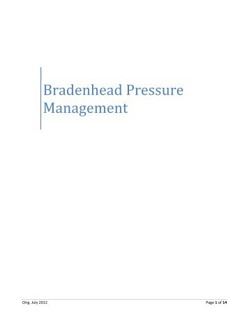 Bradenhead Pressure Guidance document