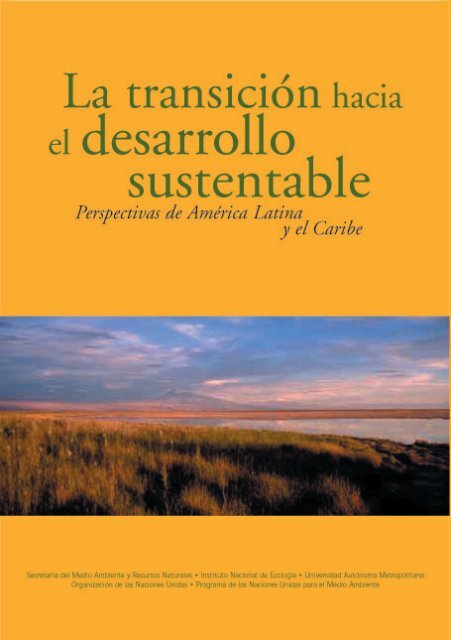 Universidad y medio ambiente en América Latina y el Caribe: continuidad y  avances del proceso iniciado en el Seminario de Bogotá