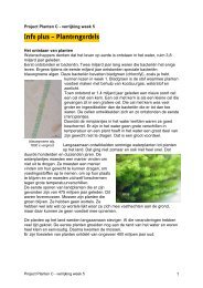 Info plus – Plantengordels - Alles-in-1