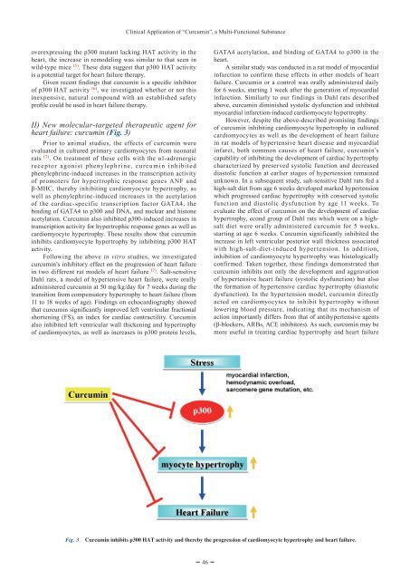 Theracurmin Review - Dr. Michael Murray