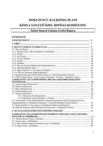 Sabun Sanayii Ã‡alÄ±ÅŸma Grubu Raporu - 9.KalkÄ±nma PlanÄ± - Devlet ...