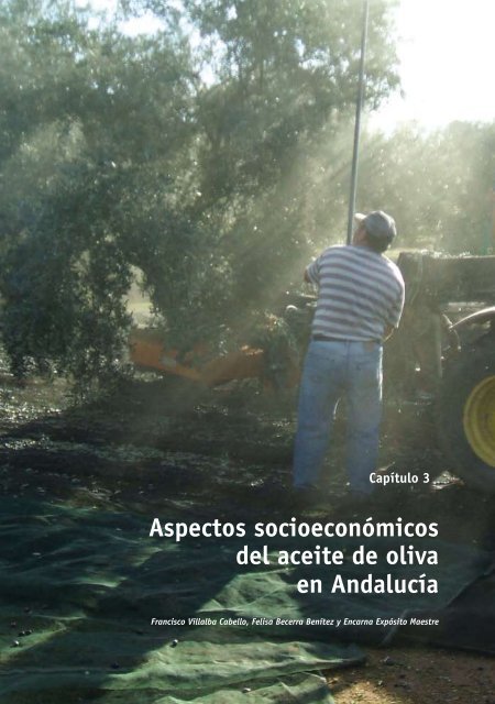 El Aceite de Oliva Virgen: Tesoro de AndalucÃ­a - Periodista Digital