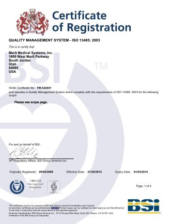 BSI Certificate - Merit Medical OEM