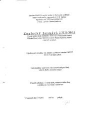 znaleckÃ½ posudek.PDF