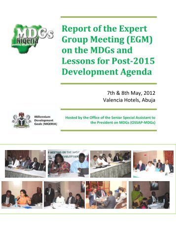 Report of the Expert Group Meeting (EGM) - what comes after the ...