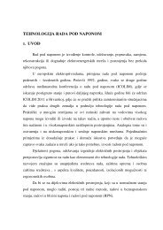 TEHNOLOGIJA RADA POD NAPONOM-DAMIR RALJEVIC, die.pdf