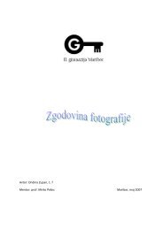 Avtor: Ondina Zupan, 1. f Mentor: prof. Mirko PeÅ¡ec Maribor, maj 2007