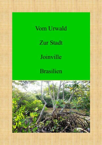 Vom Urwald Zur Stadt Joinville Brasilien