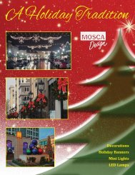Mosca Holiday Brochure