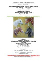 Premium - the Welsh Pony & Cob Association of California