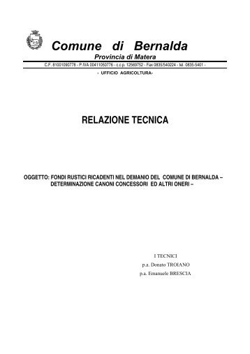 ALLEGATO A ( RELAZIONE TECNICA) G.C. N. 93.pdf - Comune di ...