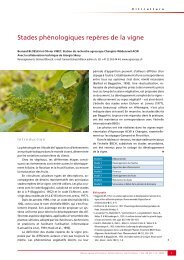 Stades phÃ©nologiques repÃ¨res de la vigne (PDF). - Agrometeo