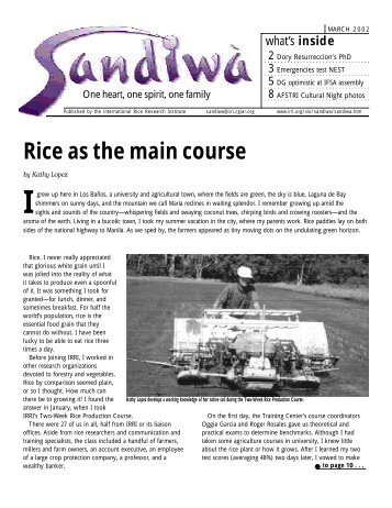 Rice as the main course - International Rice Research Institute