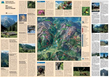 Das Klausbachtal - Natur im Wandel - Nationalpark Berchtesgaden