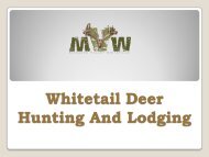 Whitetail Deer Hunting And Lodging