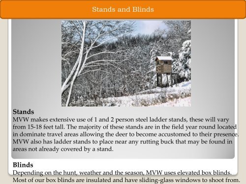 Whitetail Deer Hunting And Lodging
