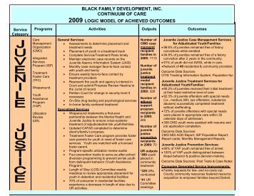 2009 logic model of achieved outcomes - Black Family Development