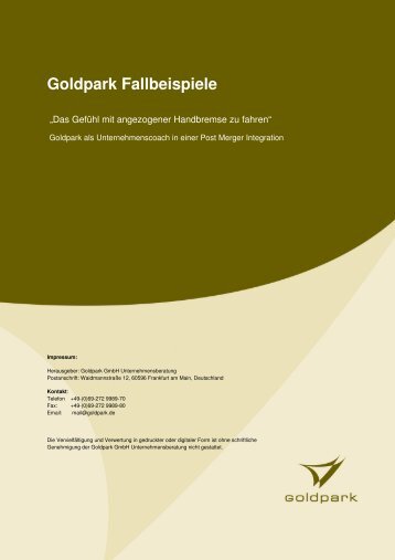 Deckblatt Fallbeispiel Post Merger Integration - Goldpark GmbH ...