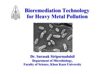 Bioremediation Technology for Heavy Metal Pollution