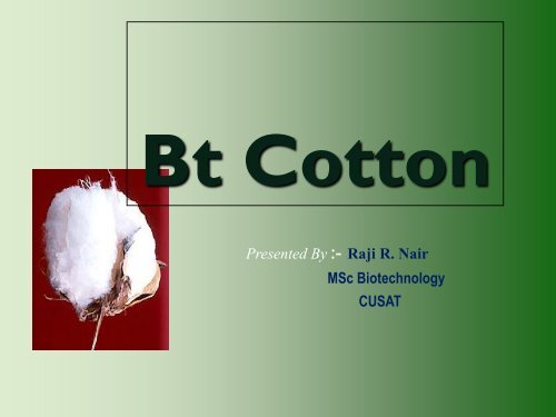 Bt Cotton - (CUSAT) â Plant Biotechnology laboratory