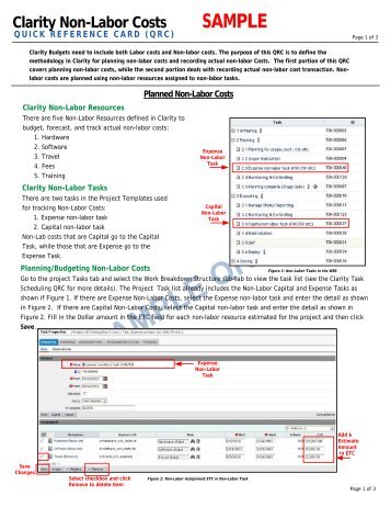 Clarity Non-Labor Costs SAMPLE - Digital Celerity