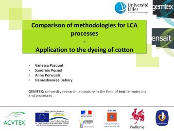 Comparison of methodologies for LCA processes ... - avniR