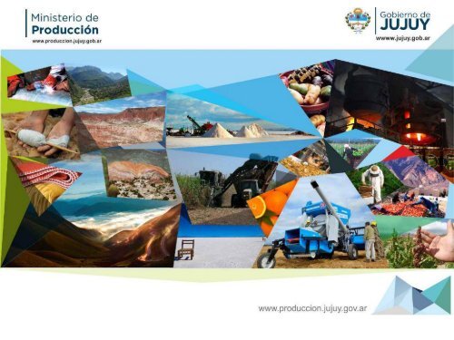 Programas  Productivos 2013/14 - Provincia de Jujuy