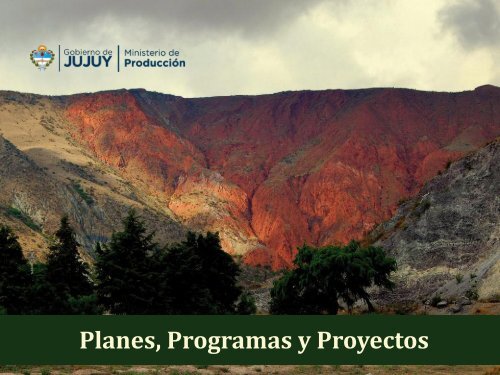 Programas  Productivos 2013/14 - Provincia de Jujuy