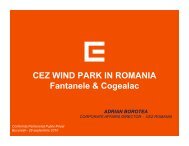 CEZ WIND PARK IN ROMANIA Fantanele ... - Achizitii publice