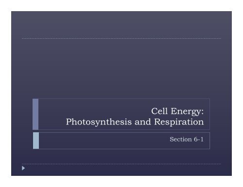 Cell Energy: Photosynthesis and Respiration