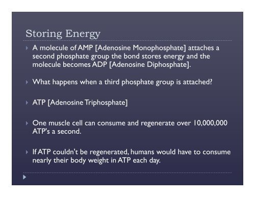 Cell Energy: Photosynthesis and Respiration